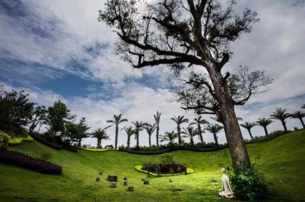 在最美的季節(jié)遇見你 雅居樂“上山下海”體驗(yàn)行