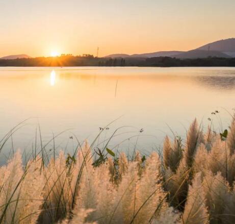 在最美的季節(jié)遇見你 雅居樂“上山下海”體驗(yàn)行